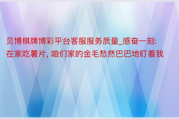 贝博棋牌博彩平台客服服务质量_感奋一刻: 在家吃薯片, 咱们家的金毛愁然巴巴地盯着我