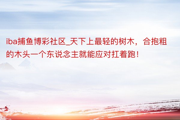 iba捕鱼博彩社区_天下上最轻的树木，合抱粗的木头一个东说念主就能应对扛着跑！