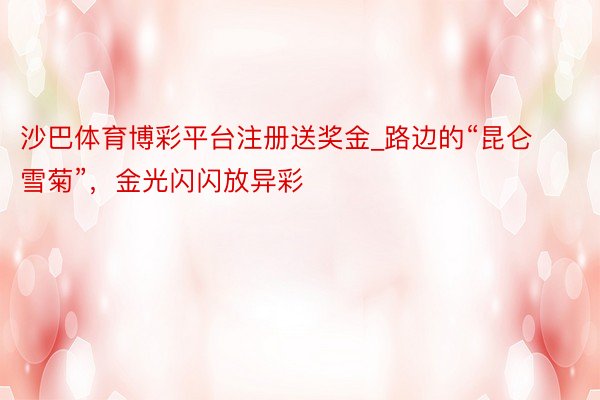 沙巴体育博彩平台注册送奖金_路边的“昆仑雪菊”，金光闪闪放异彩